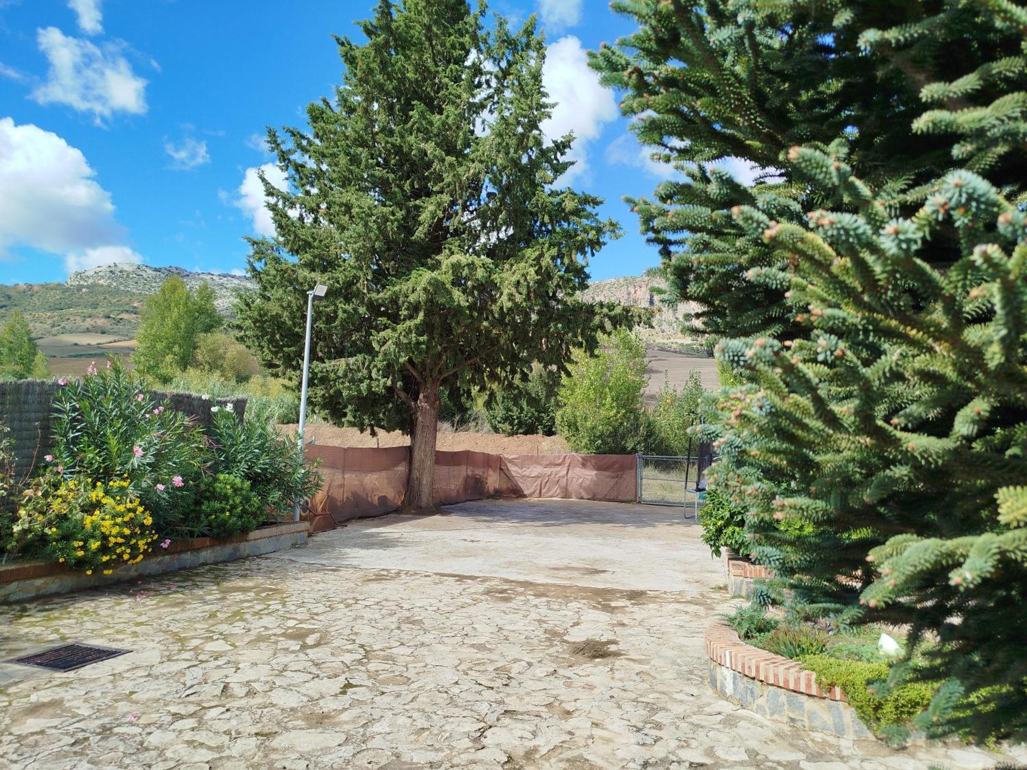 Casa Rural La Maestra Ρόντα Εξωτερικό φωτογραφία